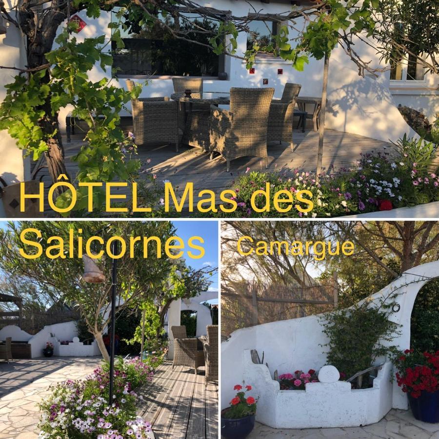 מלון סן-מארי-דה-לה-מאר Mas Des Salicornes מראה חיצוני תמונה